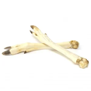 Stirnos kojos baltos 5vnt.