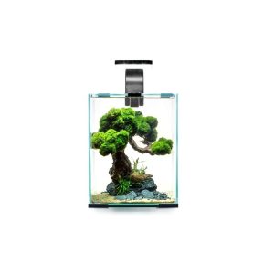 Aquael Shrimp Set Smart Day&Night 20 Black akvariumas su įranga krevetėms 20 l