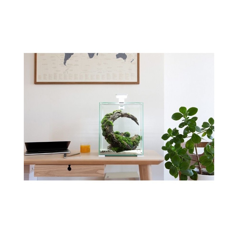 Aquael Shrimp Set Smart Day&Night 20 White akvariumas su įranga krevetėms 20 l - Image 2