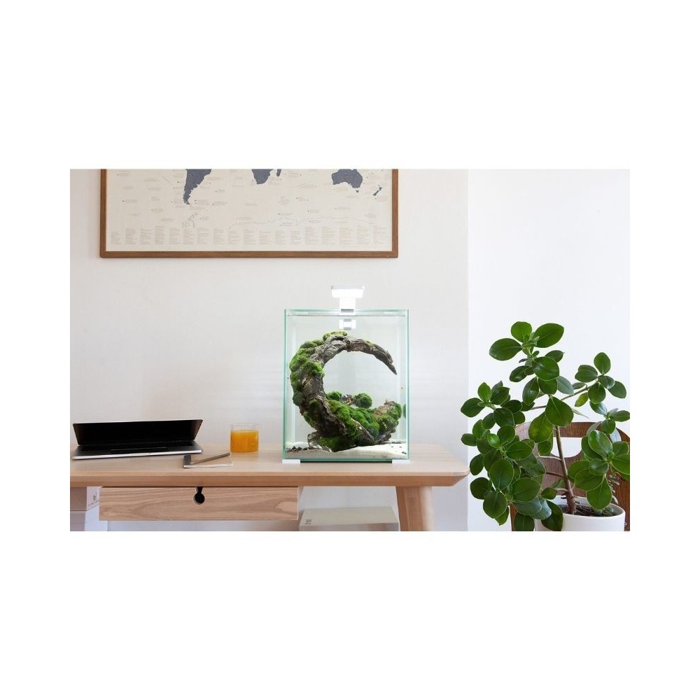 Aquael Shrimp Set Smart Day&Night 30 Black akvariumas su įranga krevetėms 30 l - Image 2