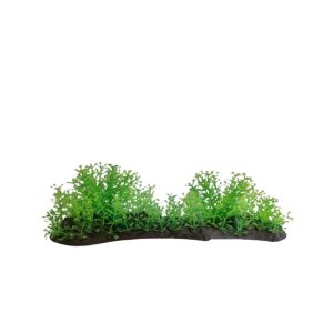 Augalas dirbtinis 8 cm