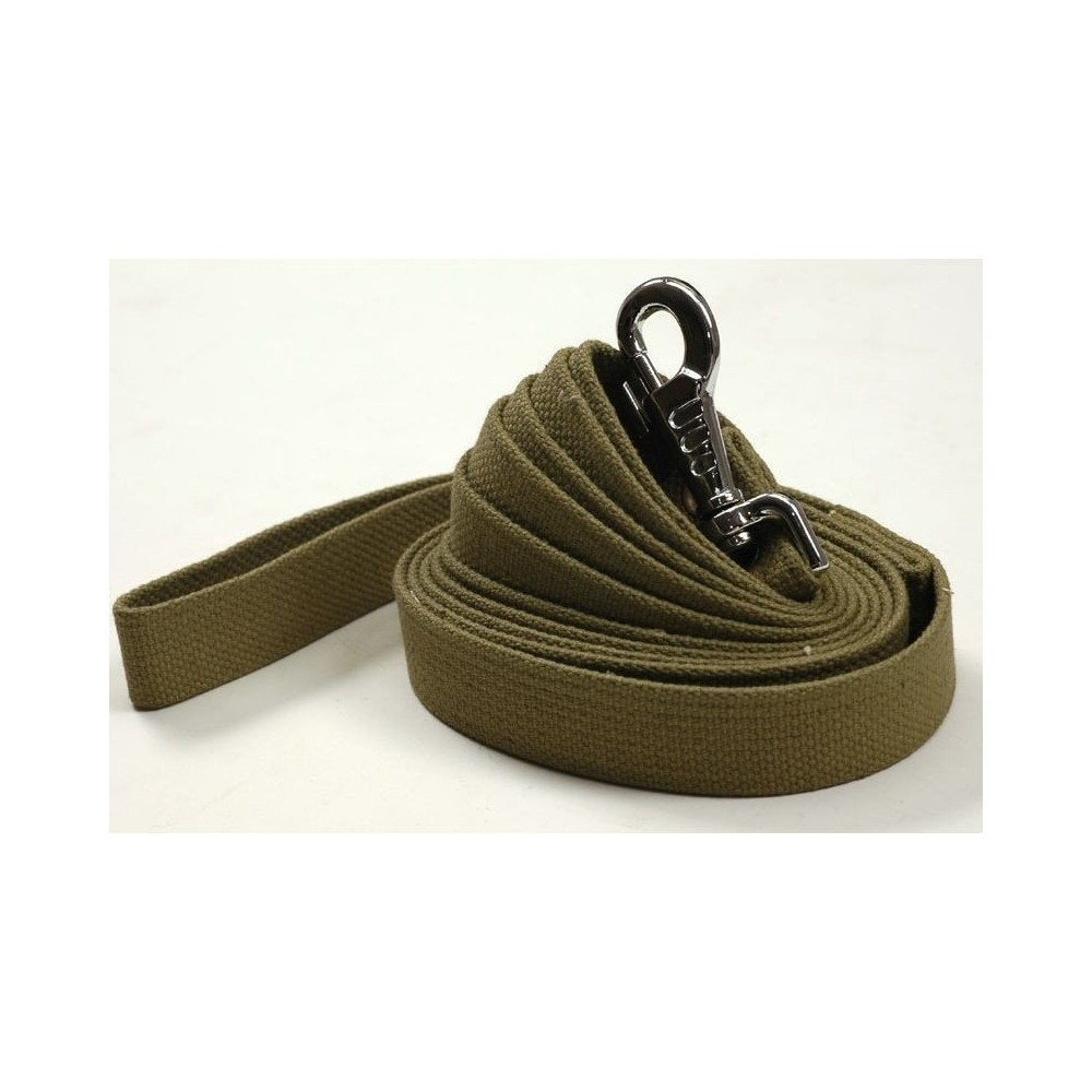 Brezentinis pavadėlis 2 m