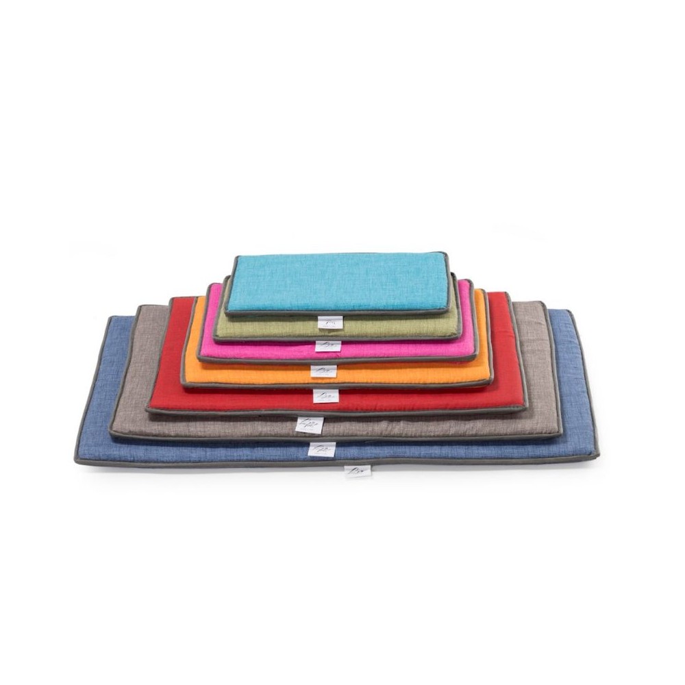 Čiužinukas, 61,5x45x2 cm