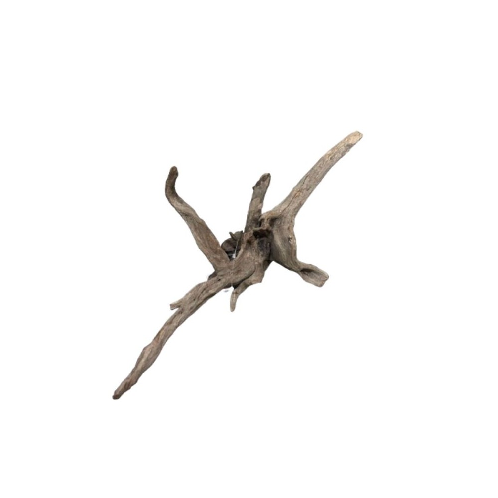 Dekoracija akvariumui šaka Black Slim Wood M (28-42 cm) - Image 5