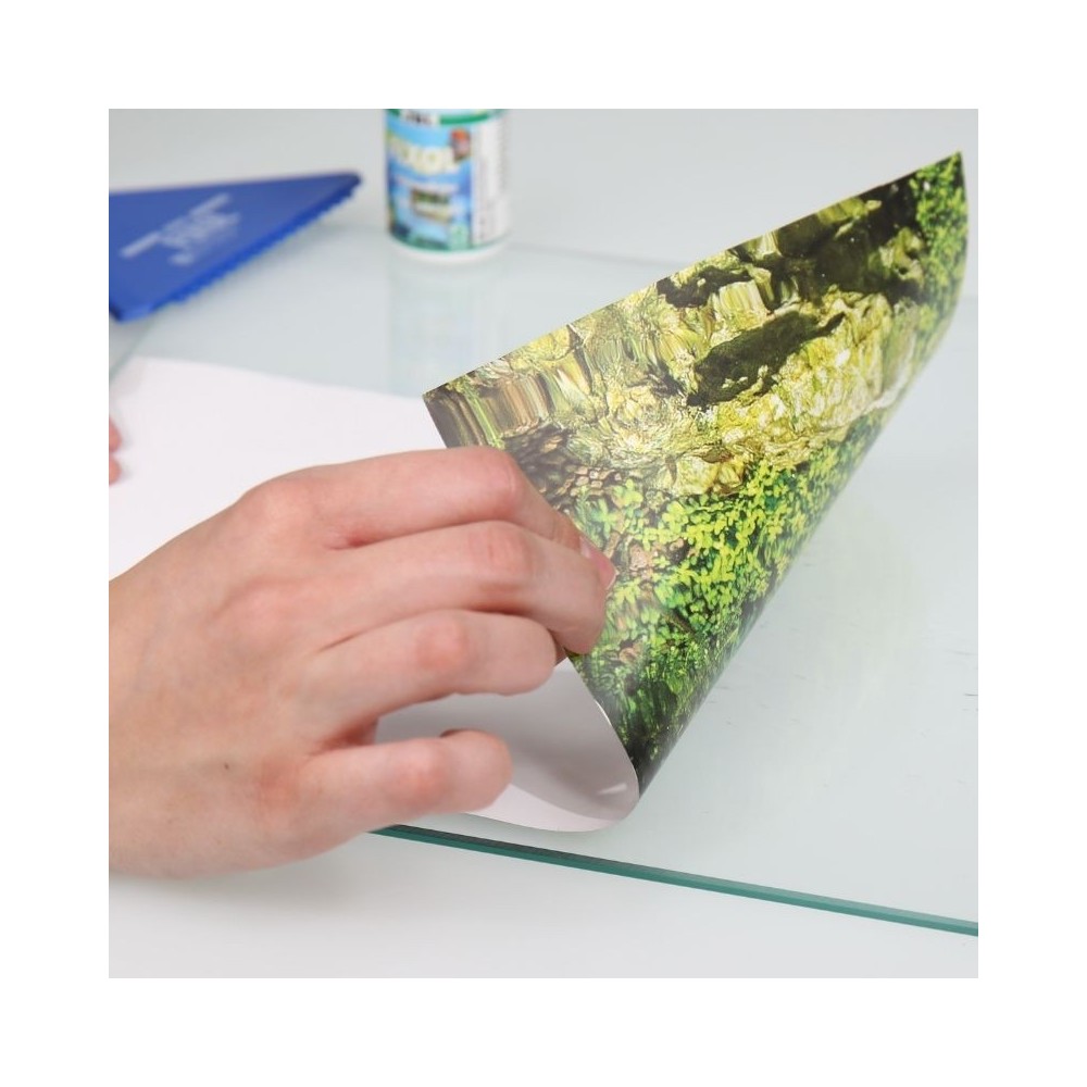 JBL Fixol klijai akvariumo dekoratyvinio fono priklijavimui 50 ml - Image 7