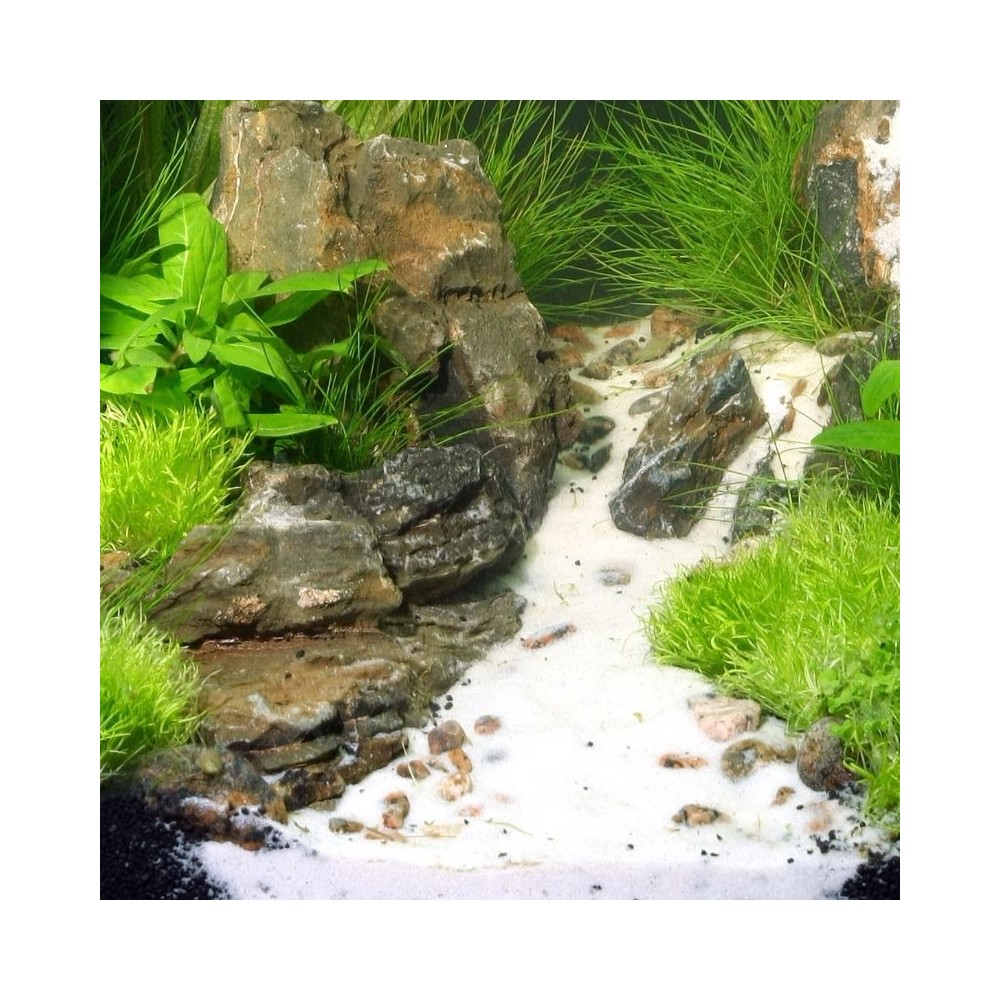 Gruntas Sansibar White 10 kg (0,2-0,6 mm), baltas - Image 2