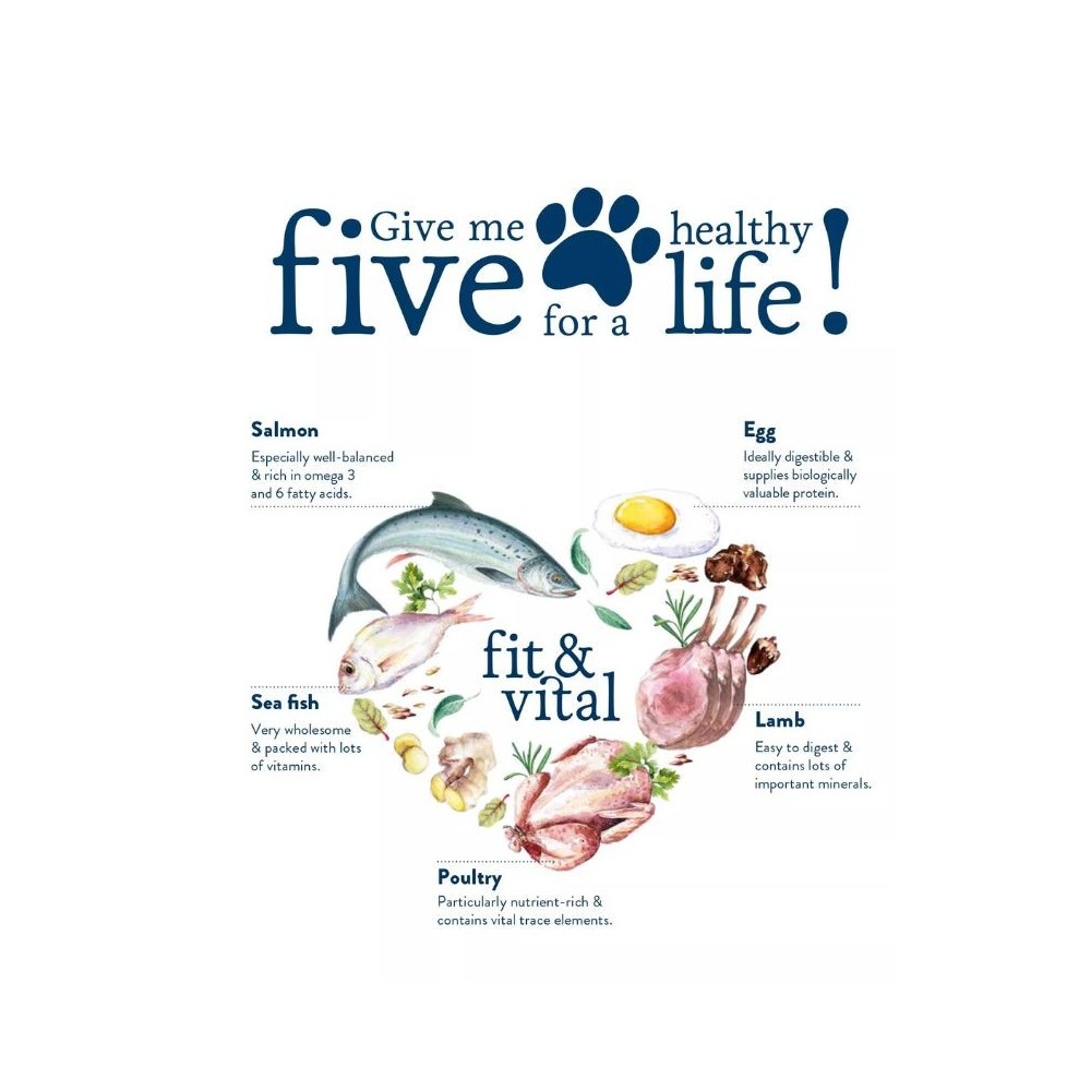 Happy Dog Mini Adult visavertis pašaras mažų veislių suaugusiems šunims, 4 kg - Image 2