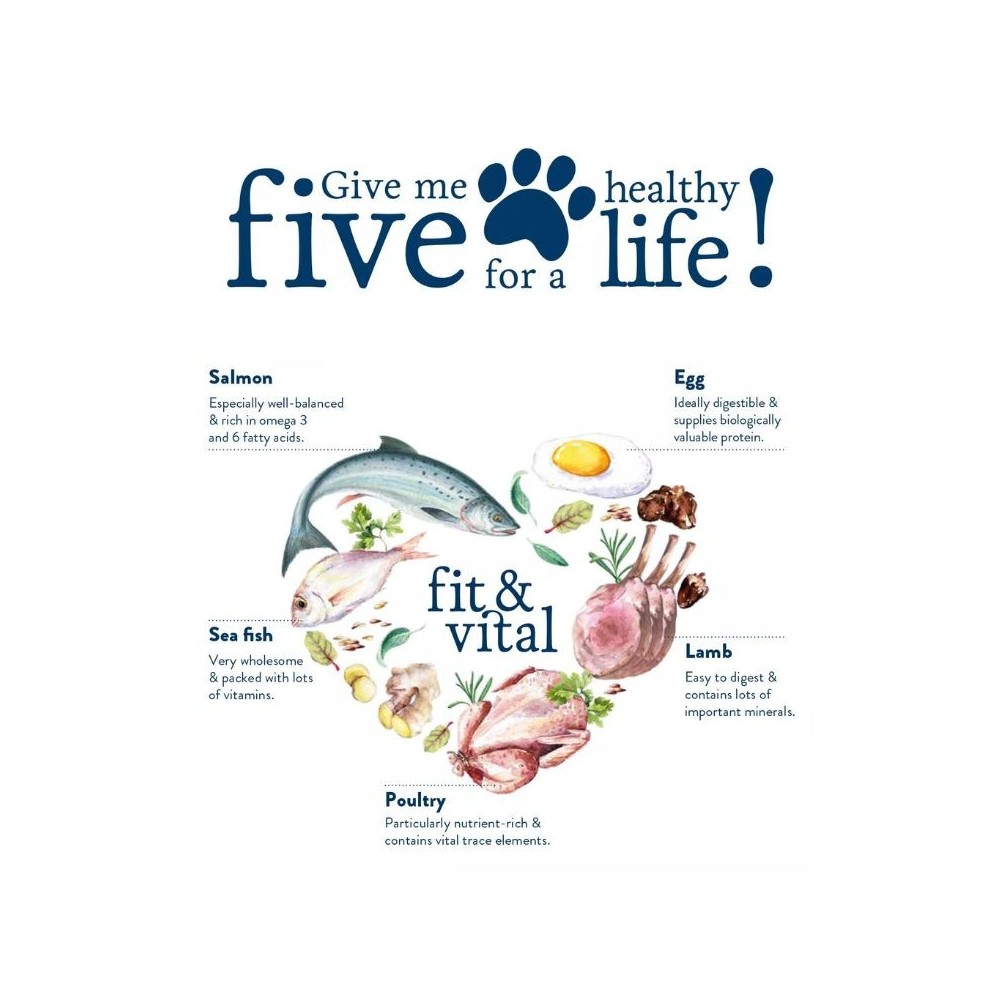 Happy Dog Mini Senior visavertis pašaras mažų veislių seniems šunims, 4 kg - Image 2