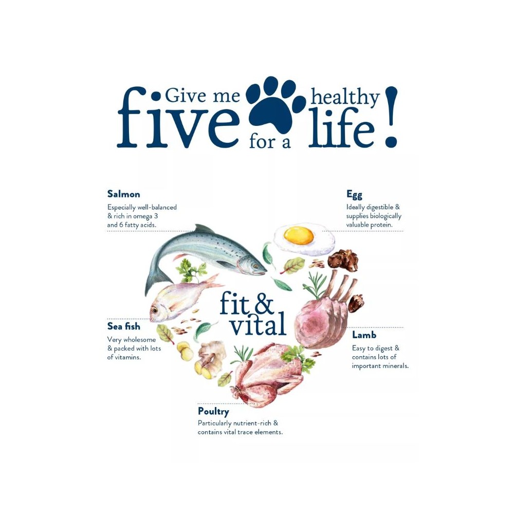 Happy Dog Mini Senior visavertis pašaras mažų veislių seniems šunims, 800 g - Image 2