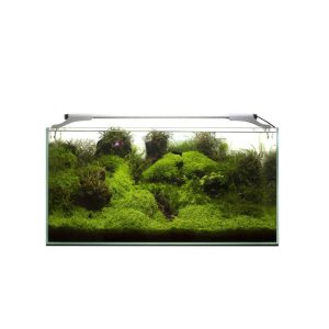 Leddy Slim Plant, 36 W, 100-127 cm, baltas