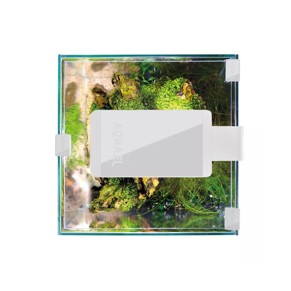 Leddy Smart 4,8 W Plant šviestuvas (baltas) - Image 2