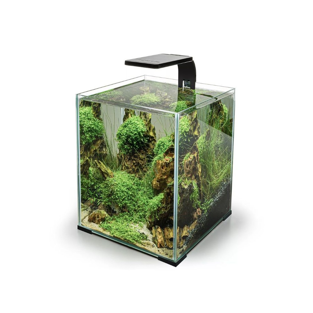 Leddy Smart 4,8 W Plant šviestuvas (juodas) - Image 2