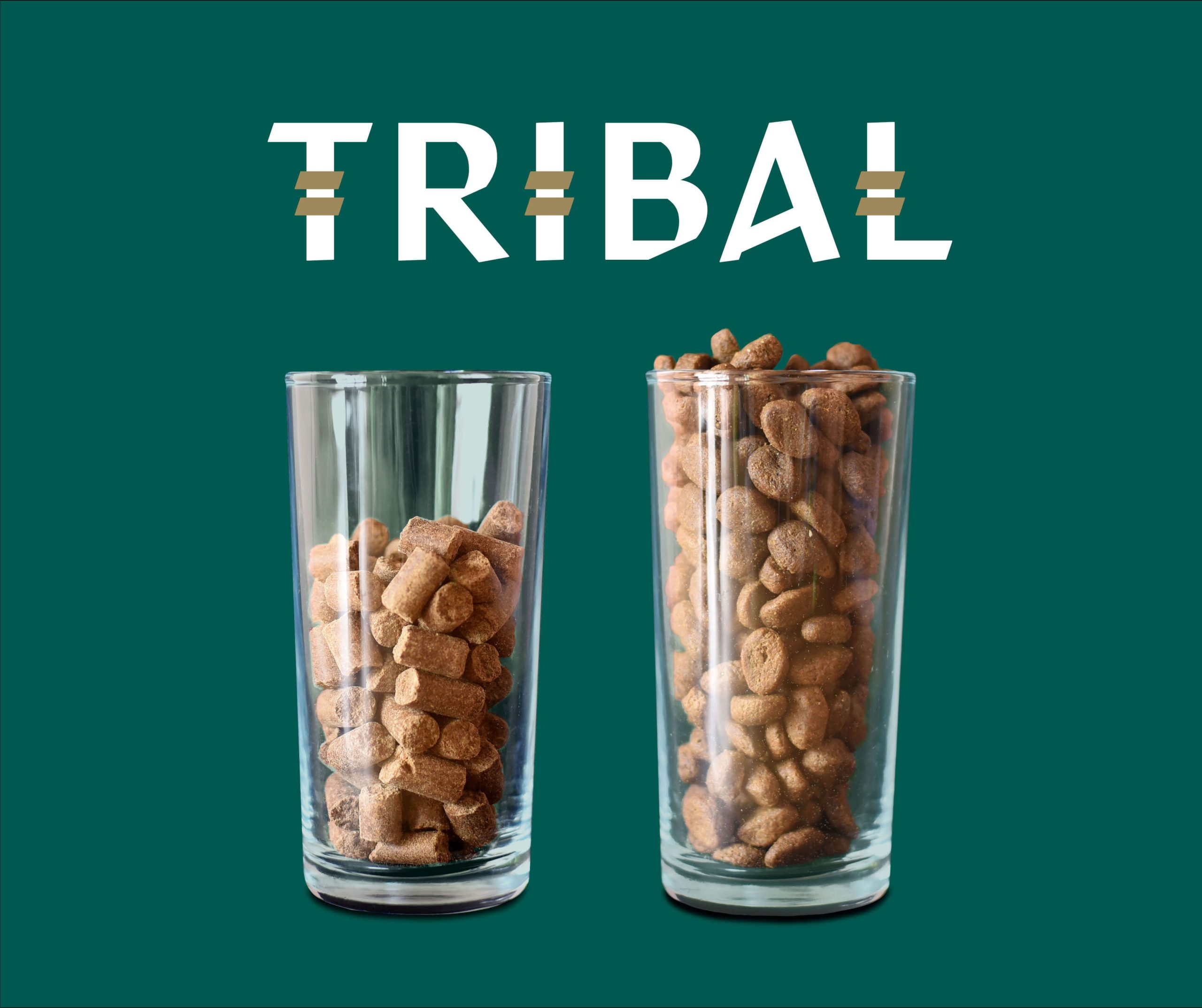 Šalto spaudimo maistas suaugusiems šunims su vištiena – Tribal Fresh Pressed Adult Chicken - Image 4