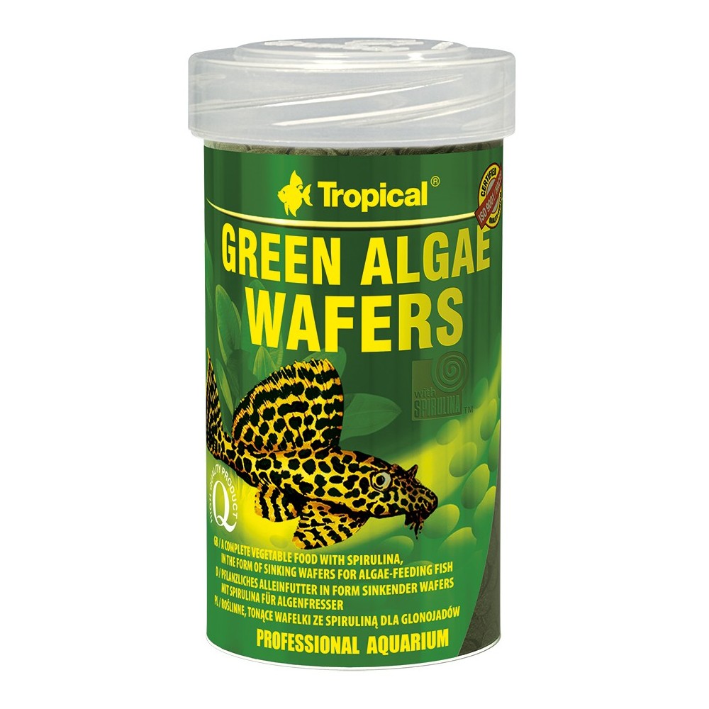 Tropical Green Algae Wafers pašaras dugninėms žuvims 100 ml - Image 2