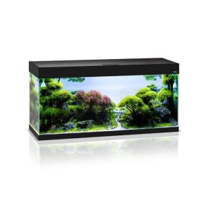 Opti Set 240 akvariumas stačiakampis, juodas, 121x41x56 cm, 240 l