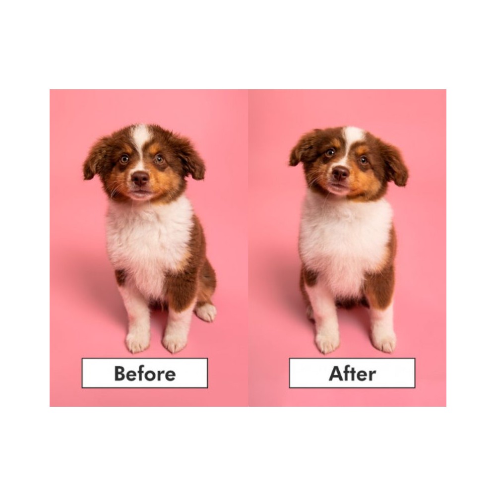 Pet Teezer plaukų šepetys gyvūnams Puppy Brush, žalias - Image 2