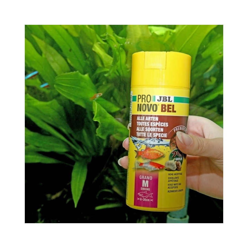 JBL ProNovo Bel Grano M universalus pašaras žuvims 250 ml (click) - Image 2