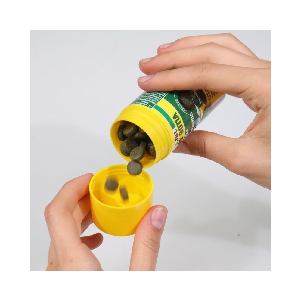 JBL ProNovo Botia Tab M pašaras žuvims 100 ml - Image 2