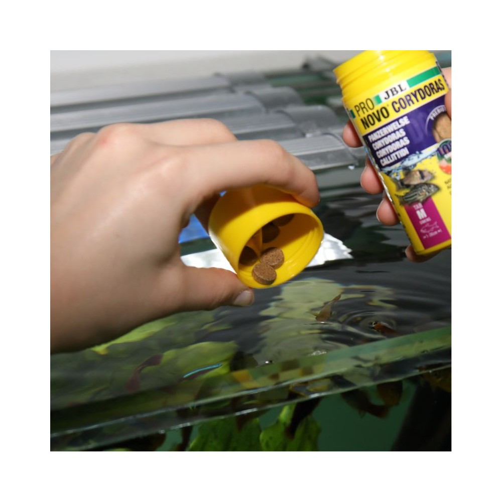 ProNovo Corydoras Tab M pašaras žuvims 100 ml - Image 3