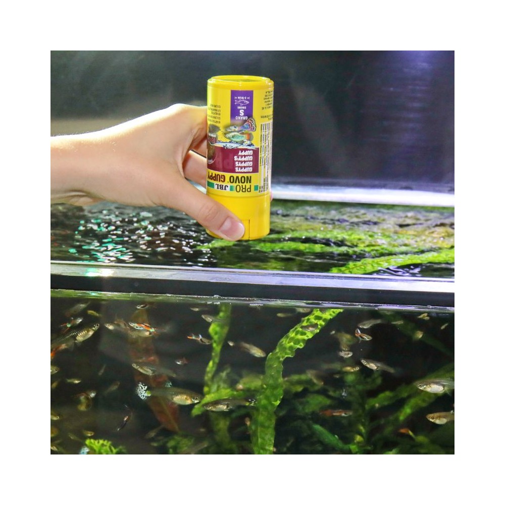 ProNovo Guppy Grano S pašaras gupijoms 250 ml - Image 4