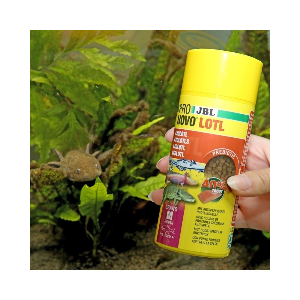 JBL ProNovo Lotl Grano M pašaras aksolotliams 250 ml - Image 2