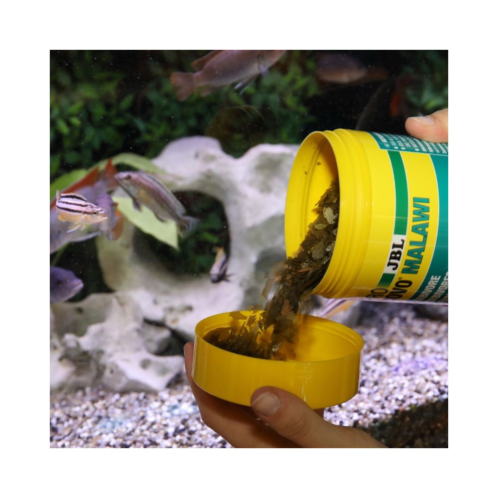 JBL ProNovo Malawi Flakes M pašaras žuvims 1000 ml - Image 2