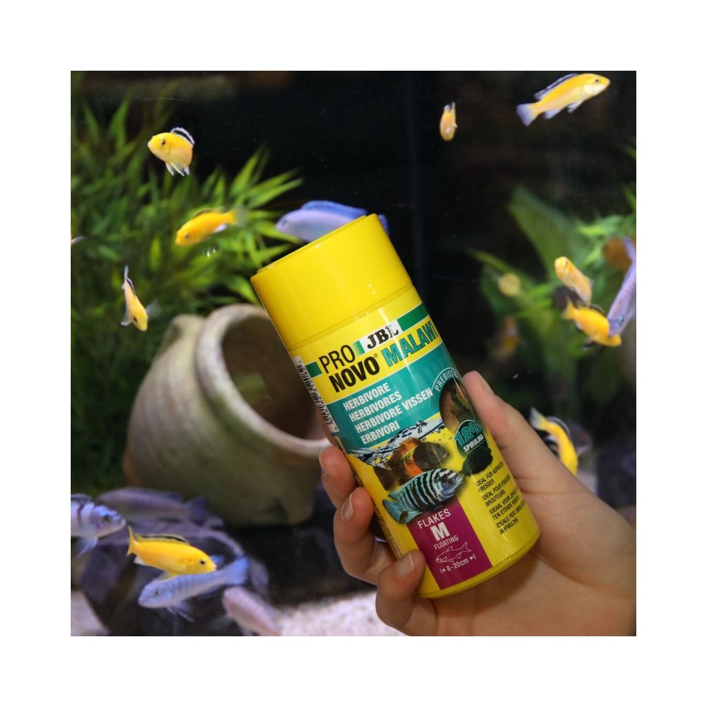 JBL ProNovo Malawi Flakes M pašaras žuvims 250 ml - Image 2