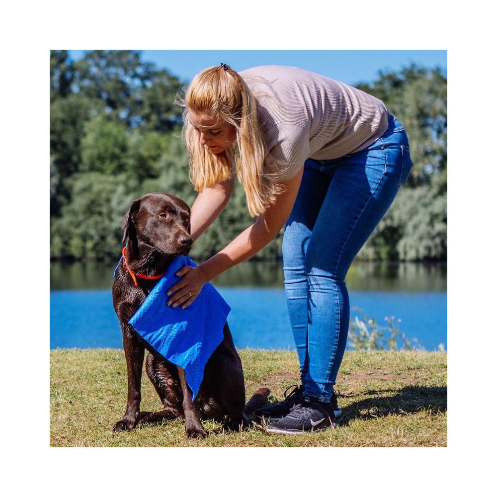 Rankšluostis šunims Speed Dry Comfort, 66x43 cm - Image 2