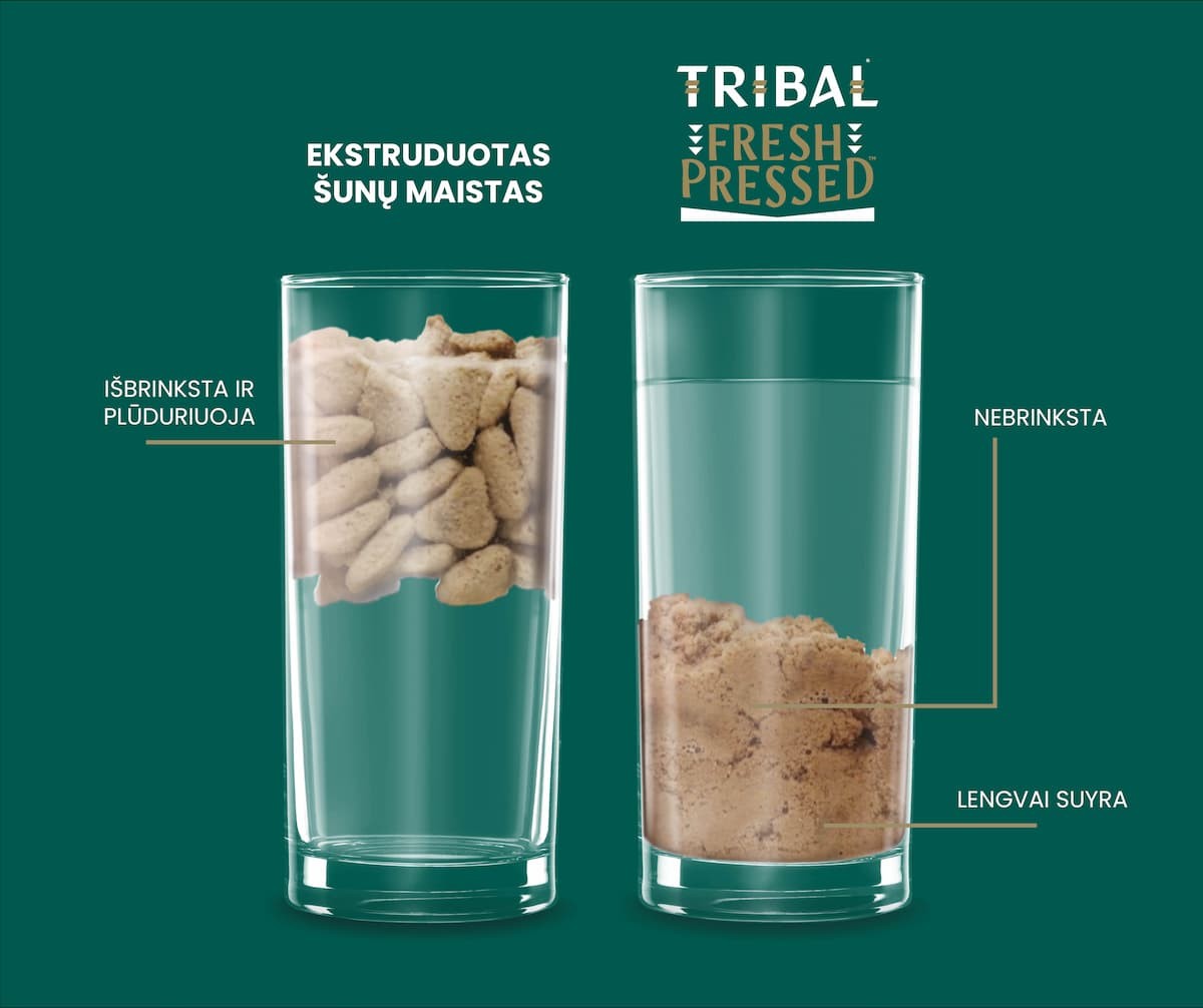 Šalto spaudimo šuniukų maistas su kalakutiena – Tribal Fresh Pressed Puppy Turkey - Image 4