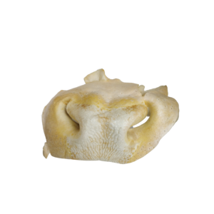 Skanėstas šunims džiovintos jaučių nosys, 5 vnt.