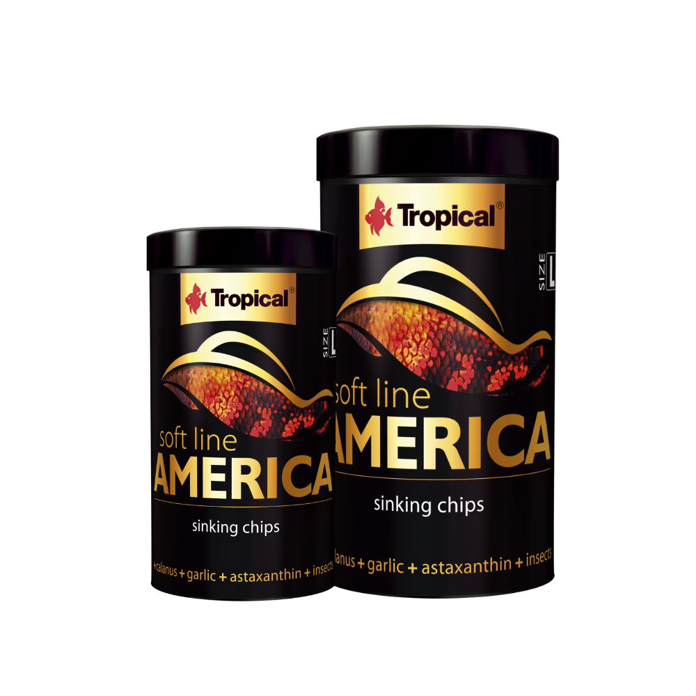 Tropical Soft Line America L minkštas maistas visaėdėms ir mėsėdėms Amerikos žuvims 100 ml - Image 4