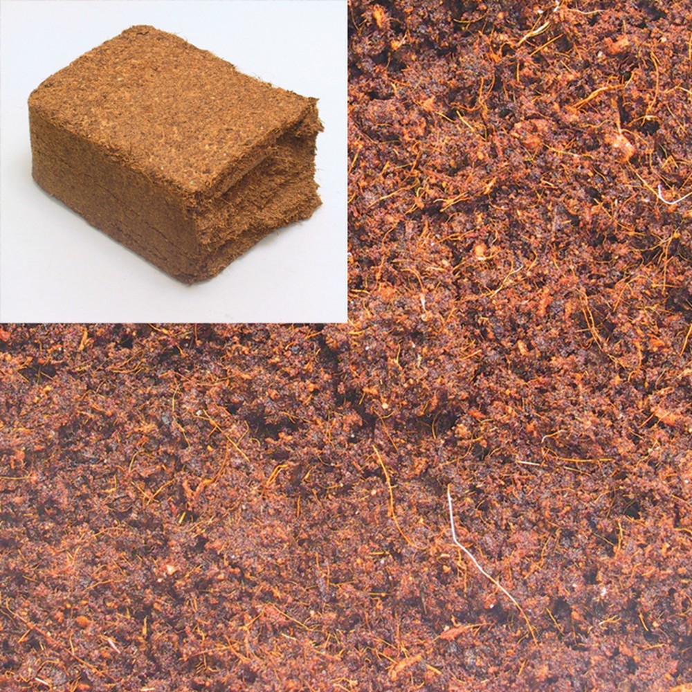 JBL TerraCoco Humus kokosinis humusas 600 g - Image 2