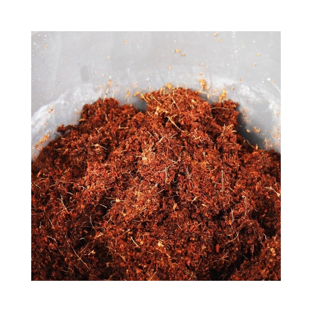 JBL TerraCoco Humus kokosinis humusas 600 g - Image 6