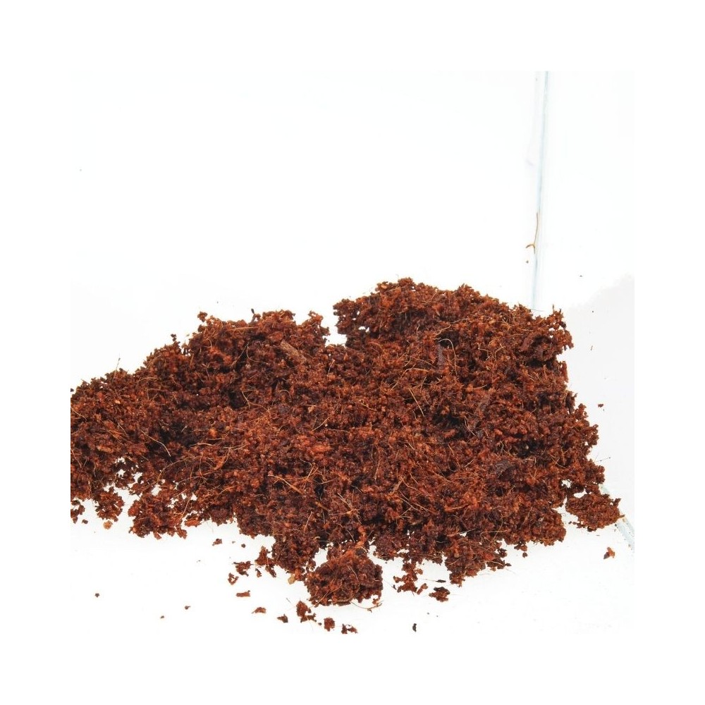 JBL TerraCoco Humus kokosinis humusas 600 g - Image 7