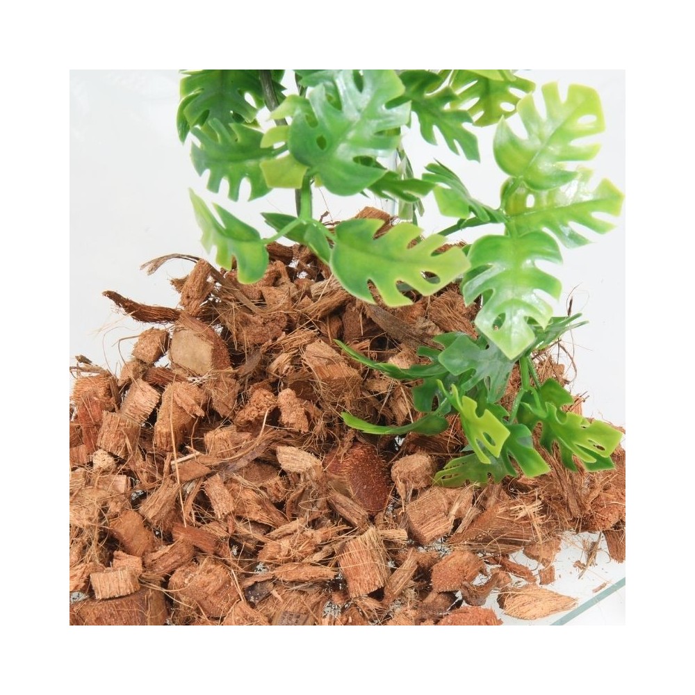 JBL TerraCoco substratas terariumams 5 l - Image 4