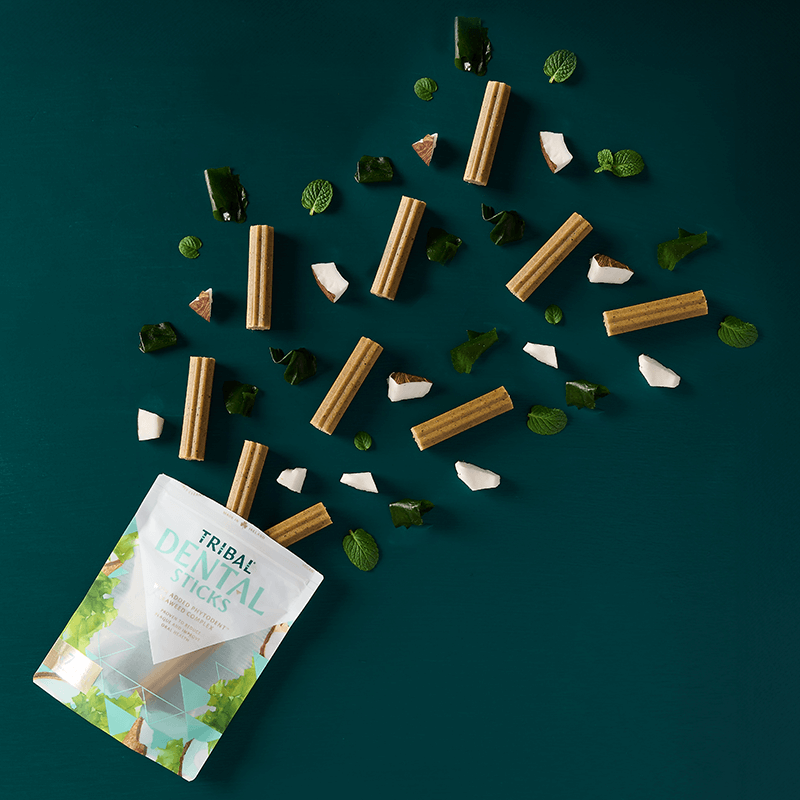 Dantų lazdelės mažų veislių šunims – Tribal Small Dental Sticks - Image 3