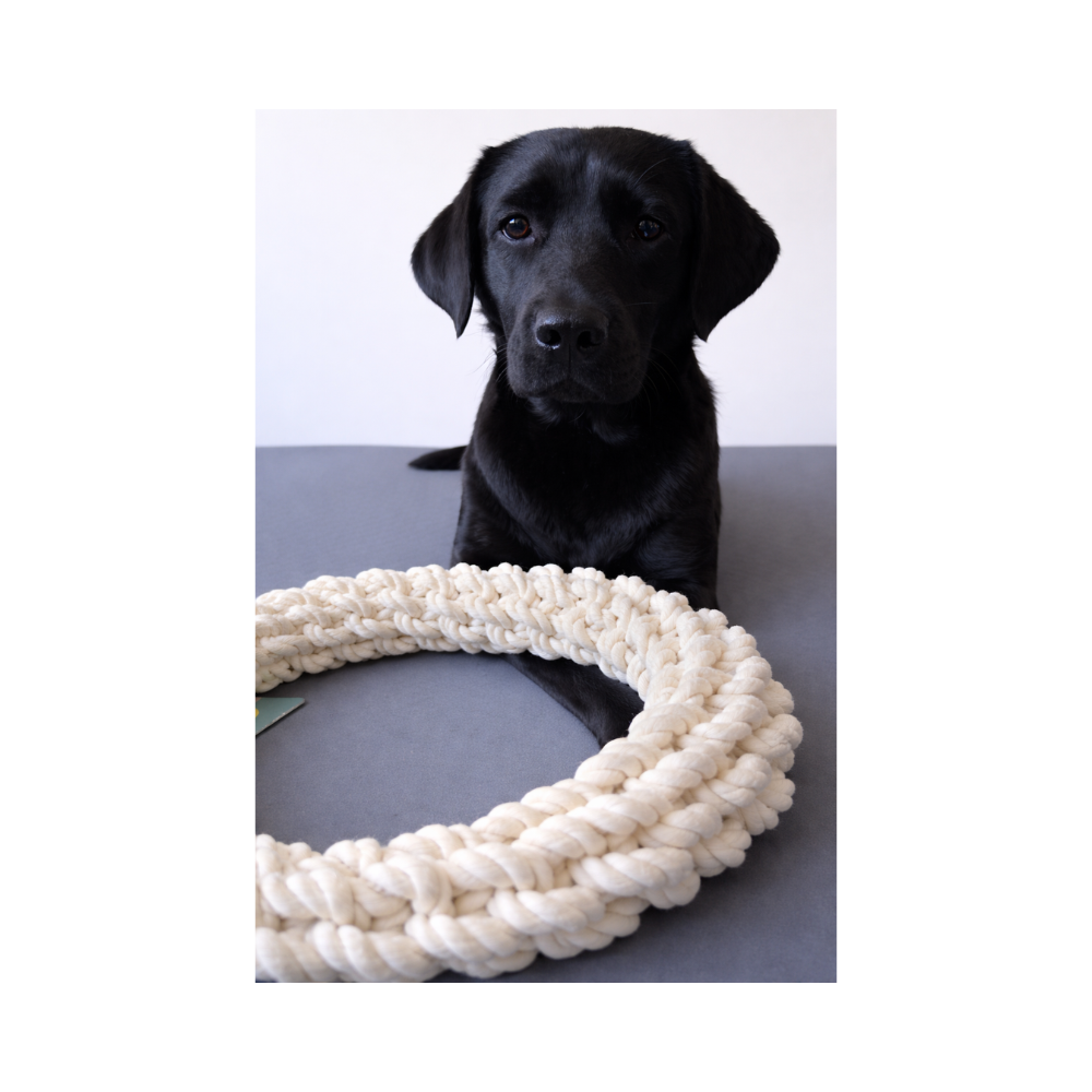 Žaislas šunims iš natūralios virvės, žiedas, XXL, 40 cm - Image 2